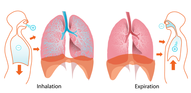 tackling-the-respiratory-problems-associated-with-neuromuscular