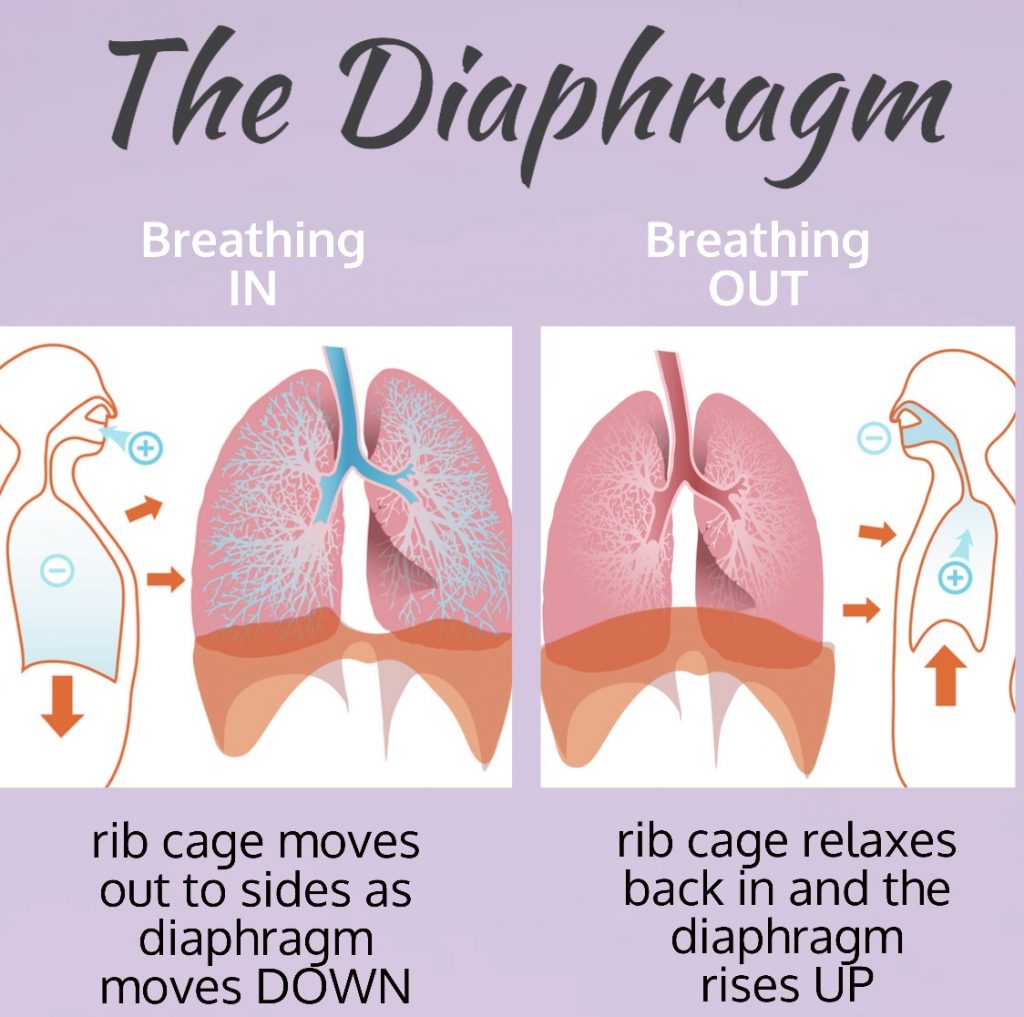 Here to help with your breathing pattern issues. - Air Physiotherapy